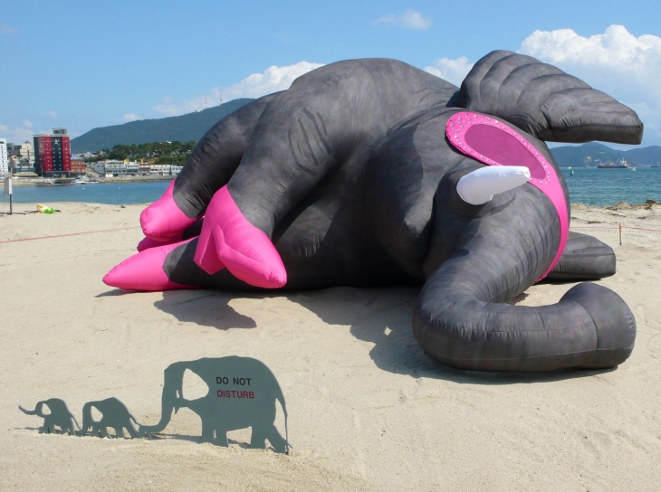 Sad Elephant on the beach