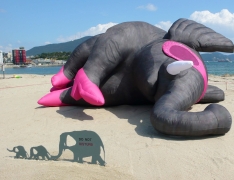 Sad Elephant on the beach