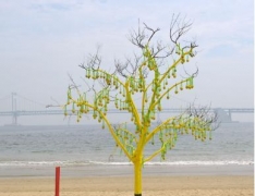 Transition, lemons, green nets, dead tree, variable dimensions, 2008