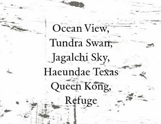 KIM Hyesoon "Ocean View", "Tundra Swan", "Jagalchi Sky", "Haeundae Texas Queen Kong", "Refuge"